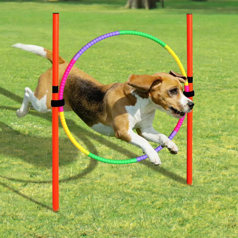 Outdoor Dog Obstacle Training Set Pet Agility Equipment Jumping Set  Dog Training Accessories Dog Obstacle Course Pet Supplies