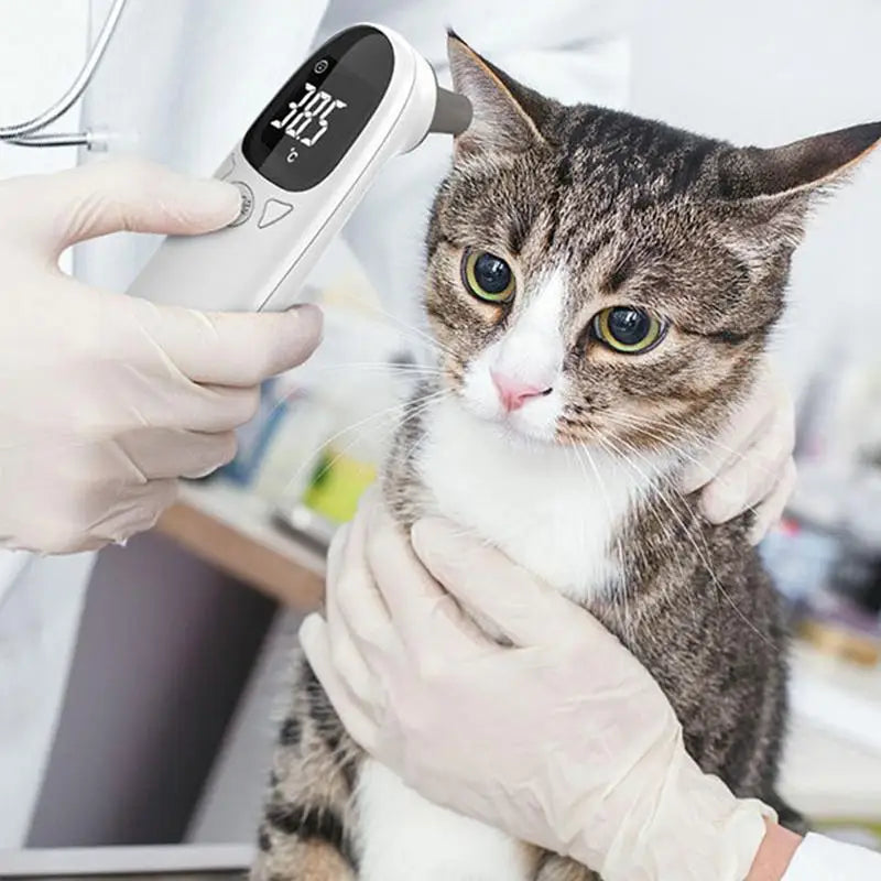 Pet Thermometers For Dogs Vet Tech Thermometers Accurate Fever Detection Device For Pet Pet Supplies Veterinary Thermometers
