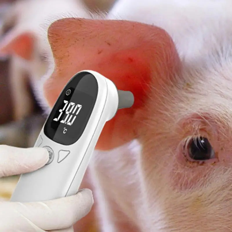 Pet Thermometers For Dogs Vet Tech Thermometers Accurate Fever Detection Device For Pet Pet Supplies Veterinary Thermometers