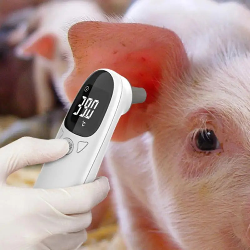 Pet Thermometers For Dogs Vet Tech Thermometers Accurate Fever Detection Device For Pet Pet Supplies Veterinary Thermometers